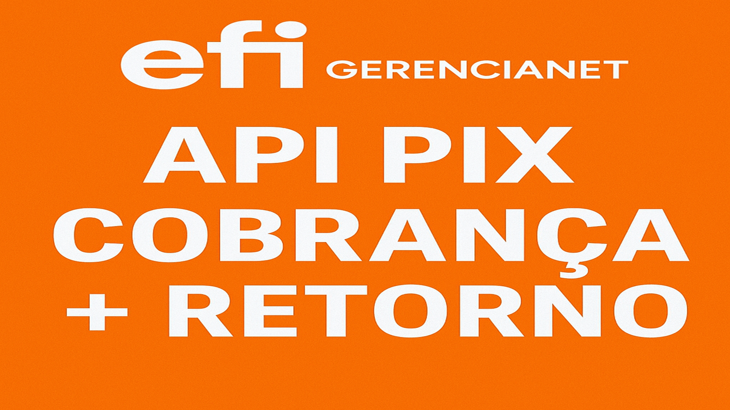 Efi GerenciaNet API PHP Pix